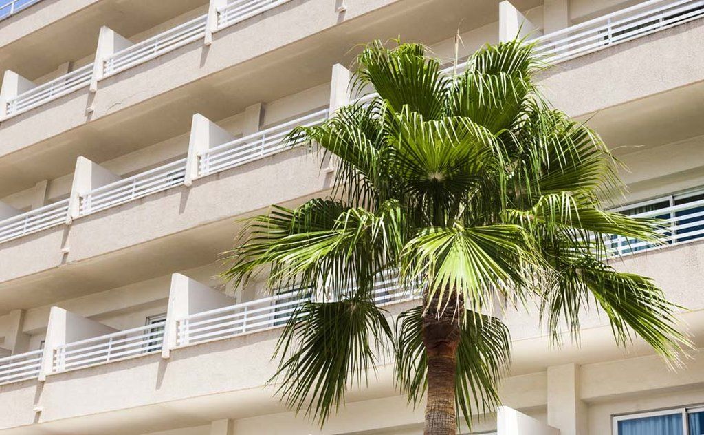 Globales Santa Ponsa Park 호텔 외부 사진